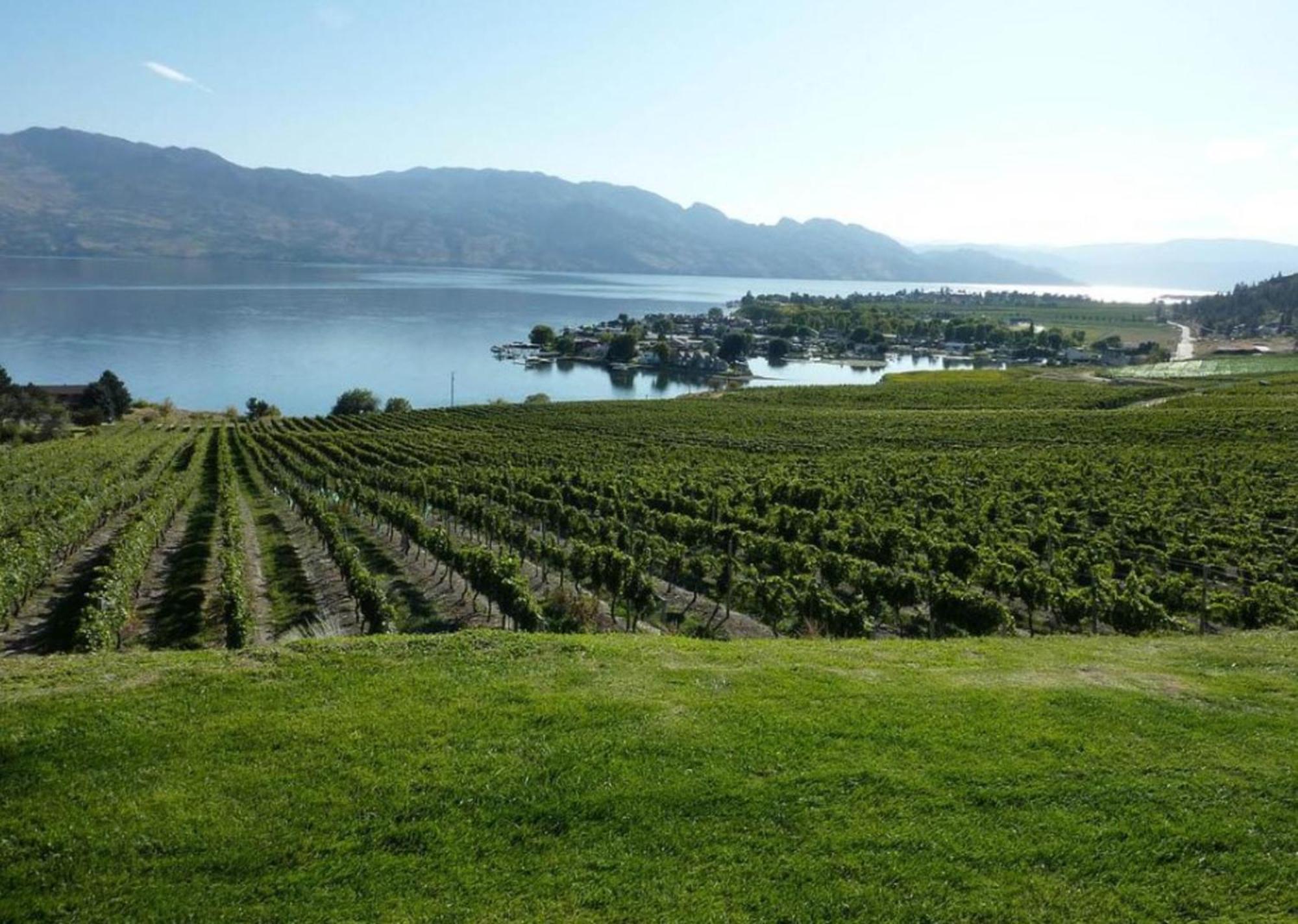 Holiday Inn Hotel & Suites Osoyoos By Ihg Exterior photo